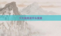 十大星座是什么星座