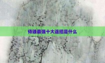 侍魂最强十大连招是什么
