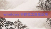 windows 手抓包工具怎么用