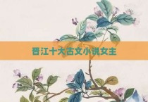 晋江十大古文小说女主