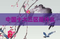 中国十大三区是什么