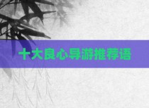 十大良心导游推荐语