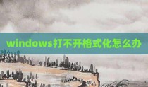 windows打不开格式化怎么办