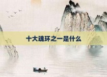 十大魂环之一是什么
