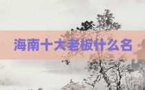 海南十大老板什么名