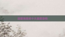 深藏海底的十大最美动物