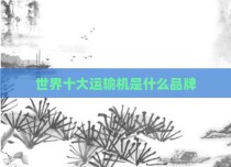 世界十大运输机是什么品牌