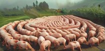 新中国十大奇葩行业是什么