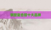 钢塑复合管十大品牌