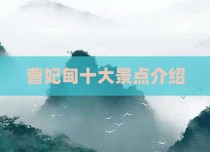 曹妃甸十大景点介绍
