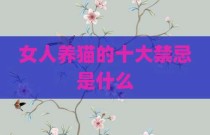 女人养猫的十大禁忌是什么