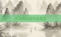 梦见棺材是什么意思