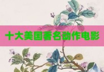 十大美国著名动作电影