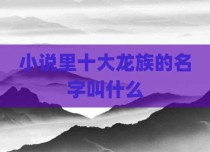 小说里十大龙族的名字叫什么