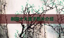 射阳十大混子照片介绍