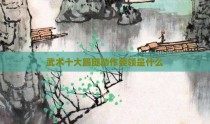 武术十大踢腿动作要领是什么