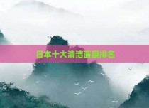 日本十大清洁面膜排名