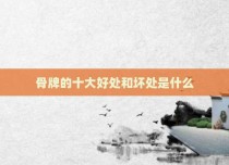 骨牌的十大好处和坏处是什么