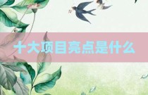 十大项目亮点是什么