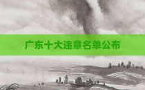 广东十大违章名单公布