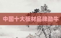 中国十大板材品牌劲牛