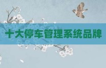 十大停车管理系统品牌