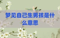 梦见自己生男孩是什么意思