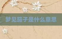 梦见茄子是什么意思