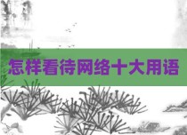 怎样看待网络十大用语