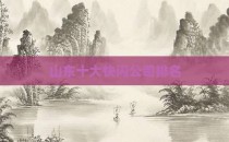 山东十大快闪公司排名