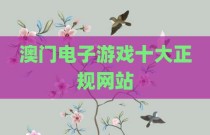 澳门电子游戏十大正规网站