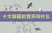 十大吸猫的音乐叫什么