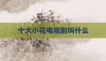 十大小花电视剧叫什么