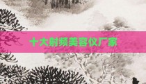 十大射频美容仪厂家