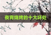 夜宵烧烤的十大坏处