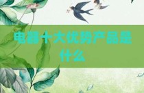电器十大优势产品是什么