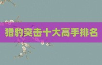 猎豹突击十大高手排名