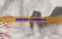 虹膜识别机十大排名是什么
