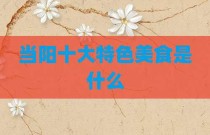 当阳十大特色美食是什么
