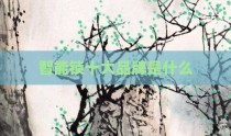 智能锁十大品牌是什么