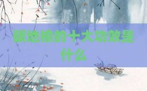 碳地榆的十大功效是什么
