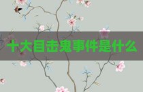 十大目击鬼事件是什么