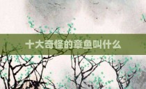 十大奇怪的章鱼叫什么