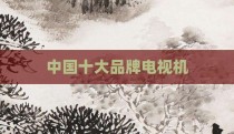 中国十大品牌电视机