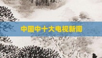 中国中十大电视新闻