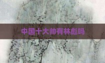 中国十大帅有林彪吗