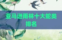 亚马逊雨林十大蛇类排名