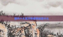 国内十大地方新闻网站是什么