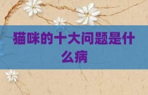 猫咪的十大问题是什么病