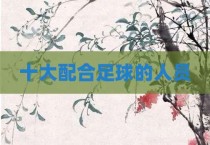 十大配合足球的人员